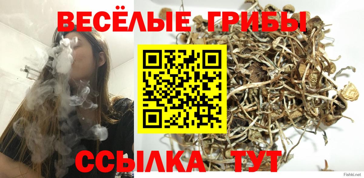 Галлюциногенные грибы Magic Shrooms  Вход с VPN  Псилоцибиновые грибы Psilocybe  Вязьма 